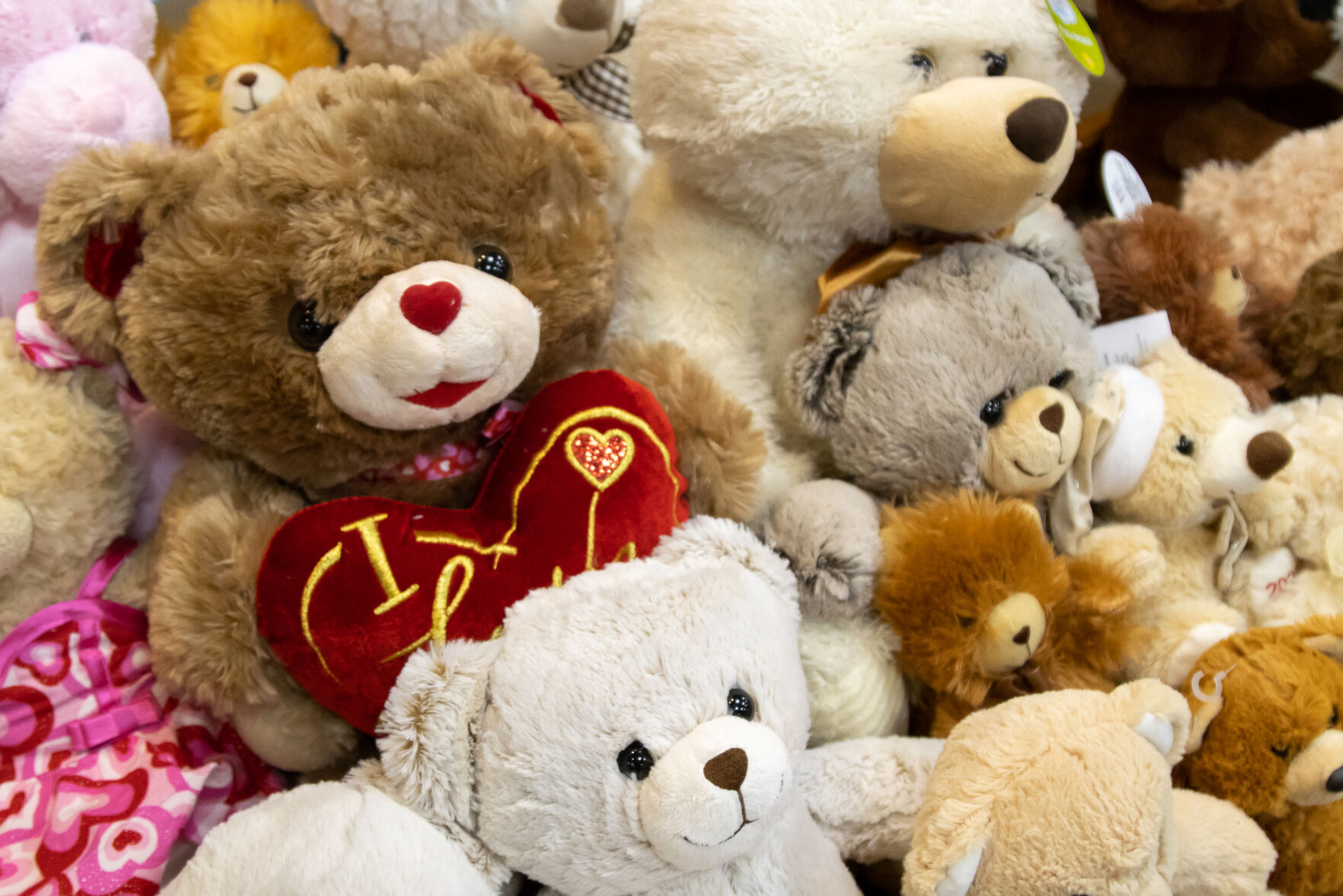 UTA Society for Human Resource Management supports local stuffed animal donation drive